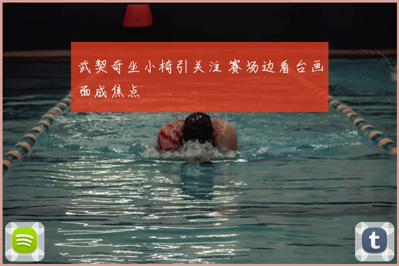武契奇坐小椅引关注 赛场边看台画面成焦点