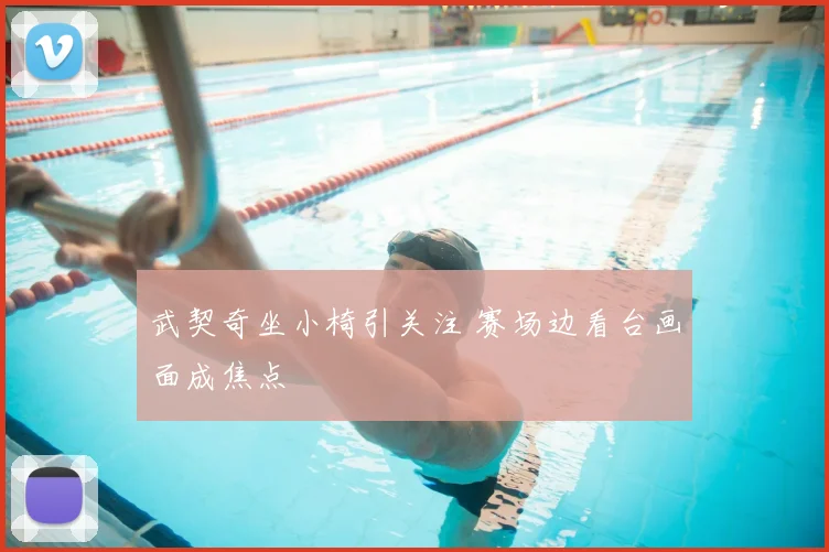 武契奇坐小椅引关注 赛场边看台画面成焦点