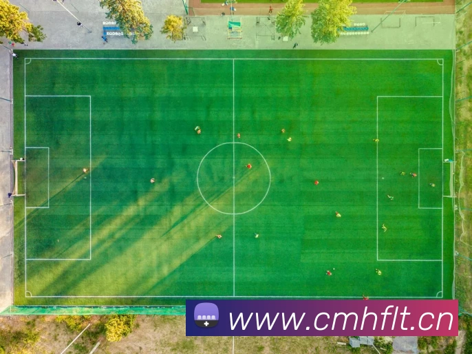 App Interface Preview